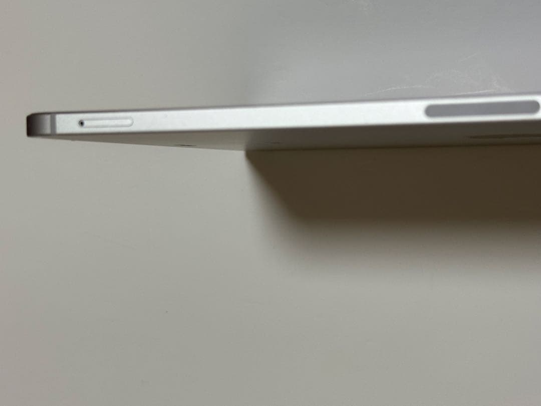 Apple iPad Pro 11インチ（第1世代） セルラーモデル