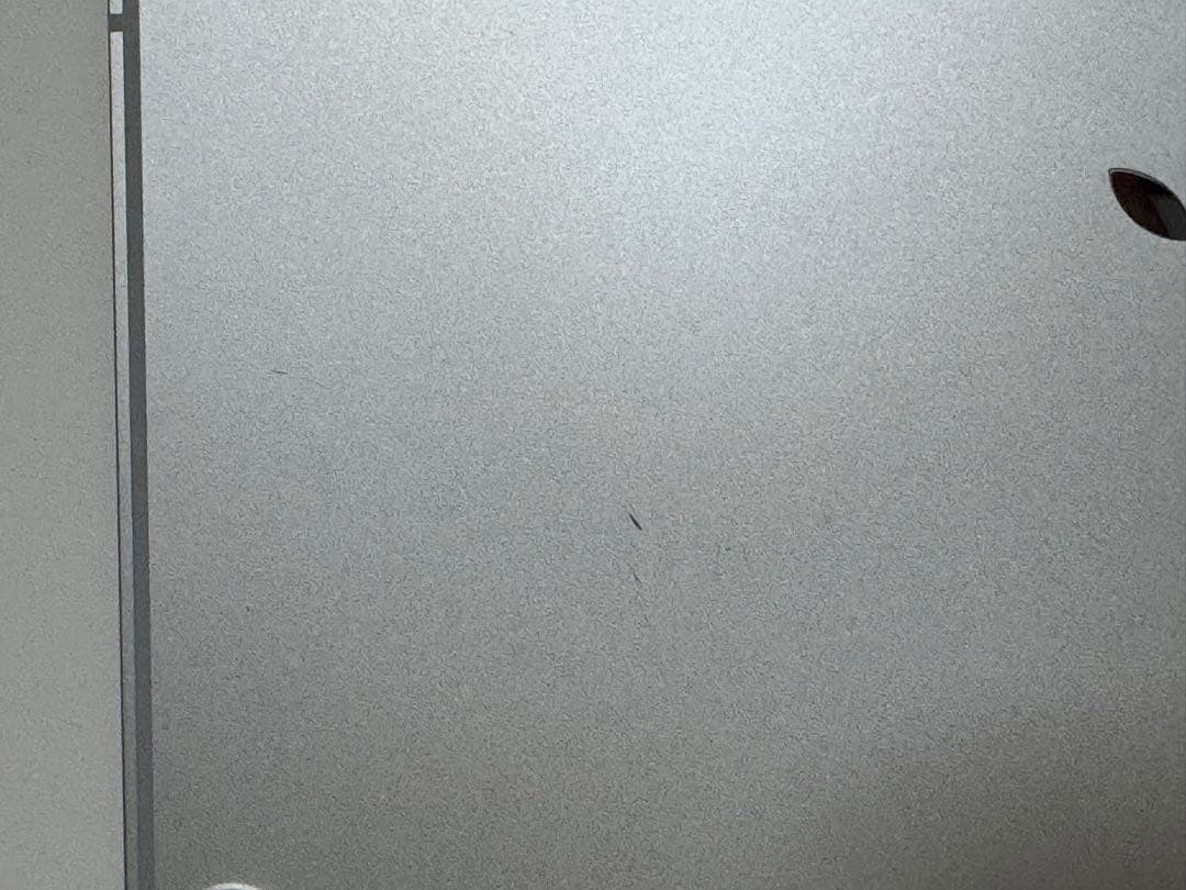 Apple iPad Pro 11インチ（第1世代） セルラーモデル