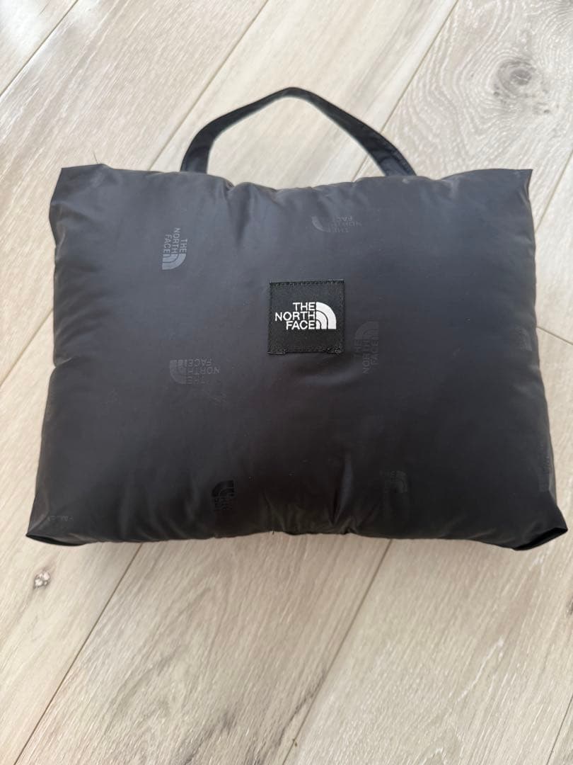 THE NORTH FACE GORE-TEX ダウンコート ANP-3202
