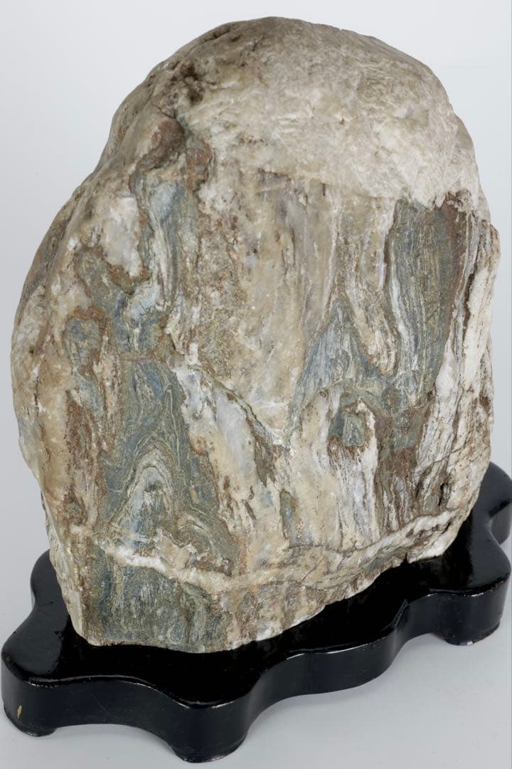 木化石 珪化木 白蛇石 蛇紋石 龍紋石 台座付 4.7kg 天然石 水石 盆石