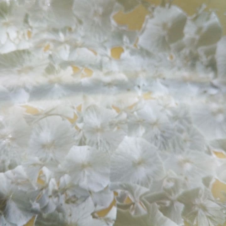 京都陶あん花結晶大皿