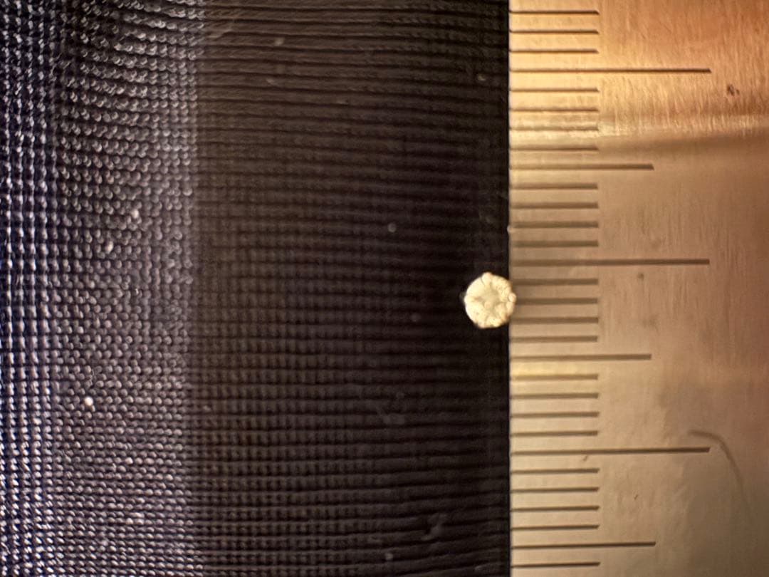 Pt850 プラチナ 一粒ダイヤ ピアス 両耳