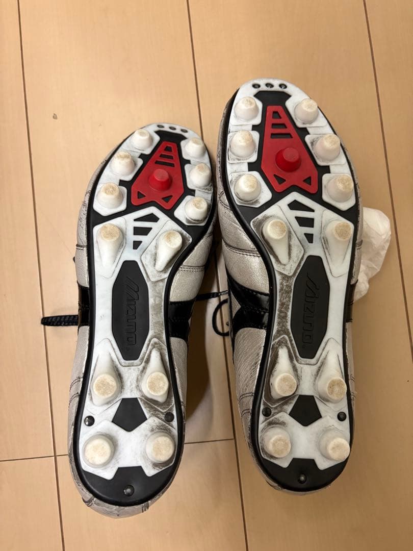 モレリア2Japan