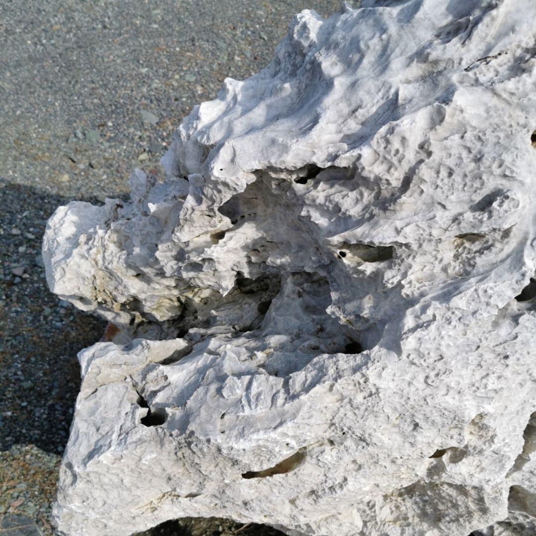 秩父産石灰岩　庭石　鑑賞石　石　オブジェ　インテリア　ガーデニング　原石　庭