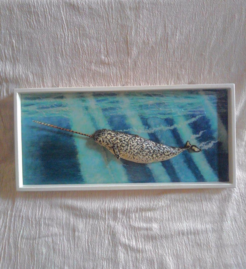 木彫りの一角クジラの3D壁掛け