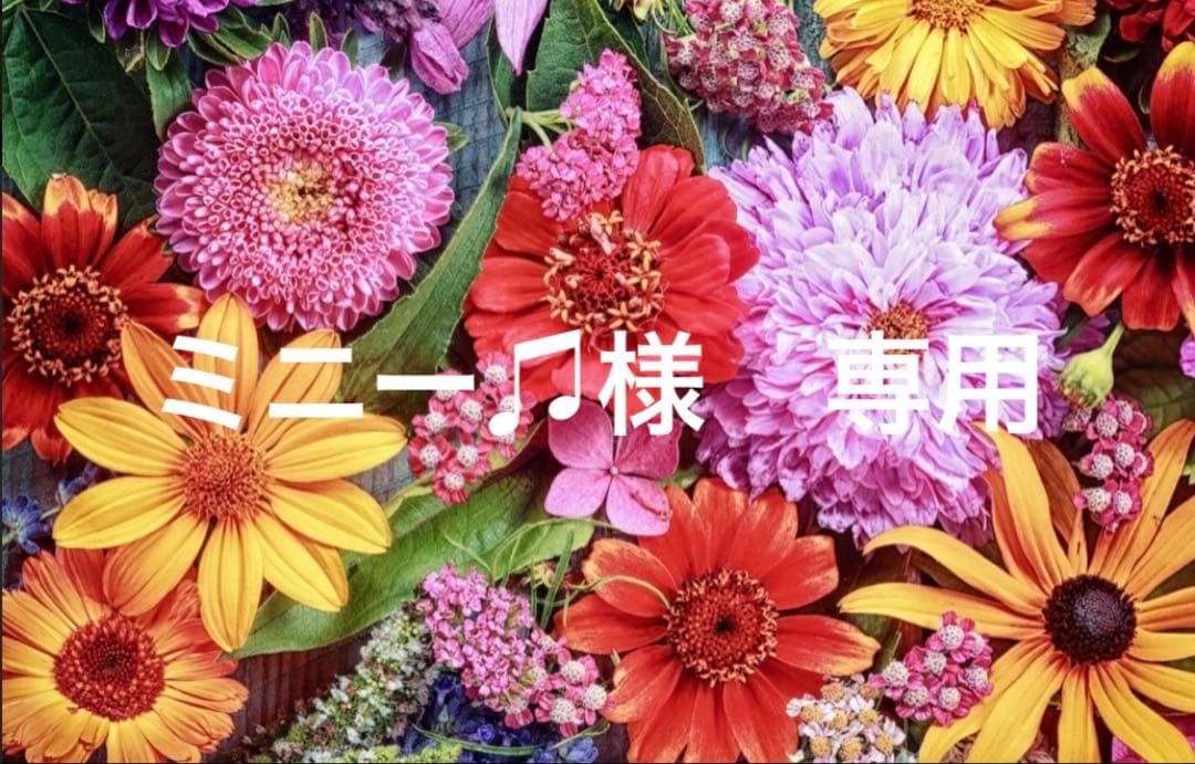 ミニー♫