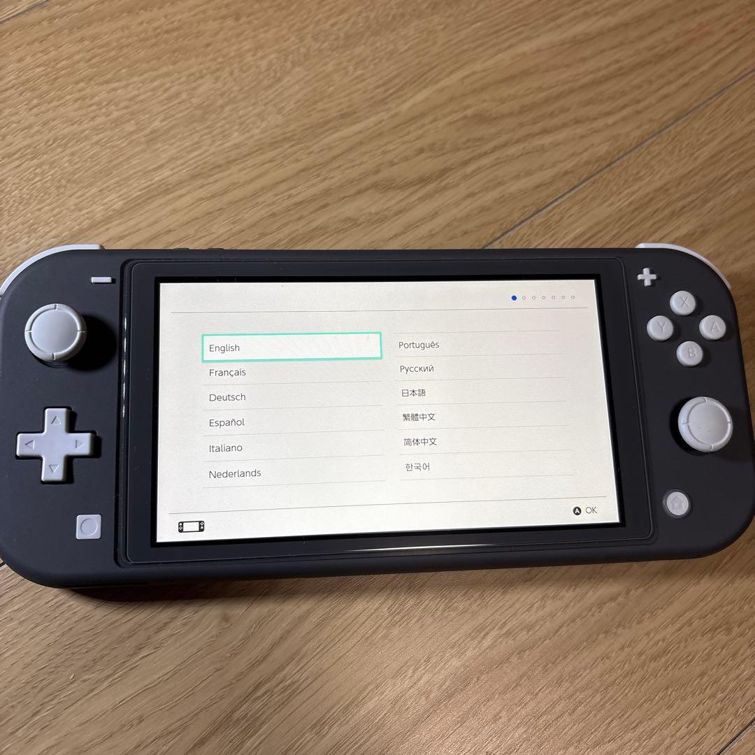 動作確認済/美品】Nintendo Switch Lite グレー　本体