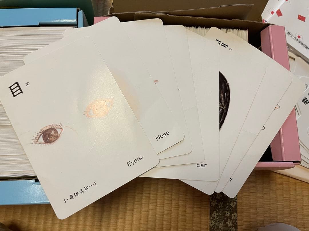 【mogu2.6】家庭保育園　絵カード　正規購入品