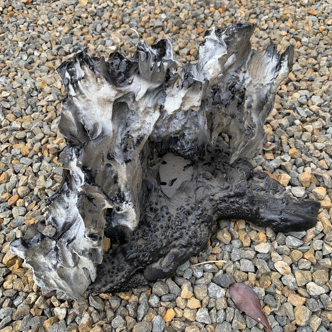 龍岩石、揖斐石/オブジェ