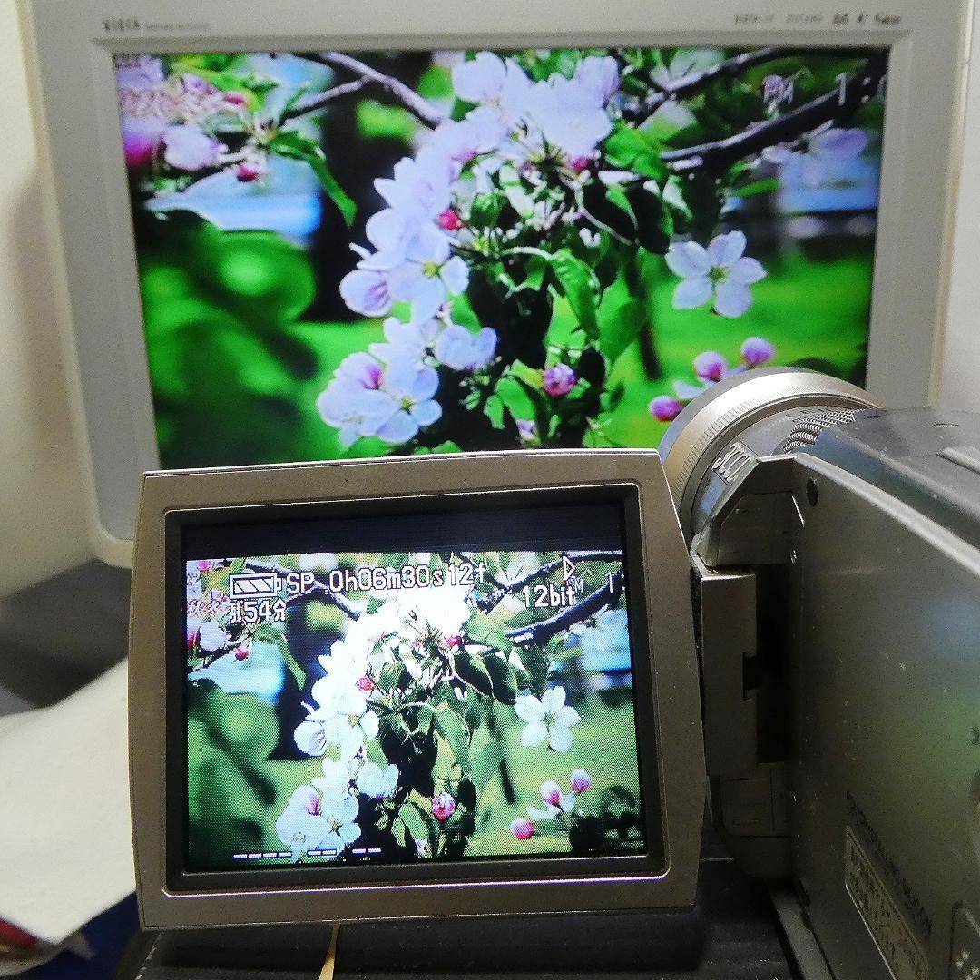 動作良好 パナソニックNV-MX2000 MiniDVビデオカメラDVD化に最適