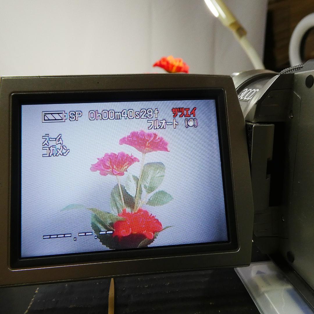 動作良好 パナソニックNV-MX2000 MiniDVビデオカメラDVD化に最適
