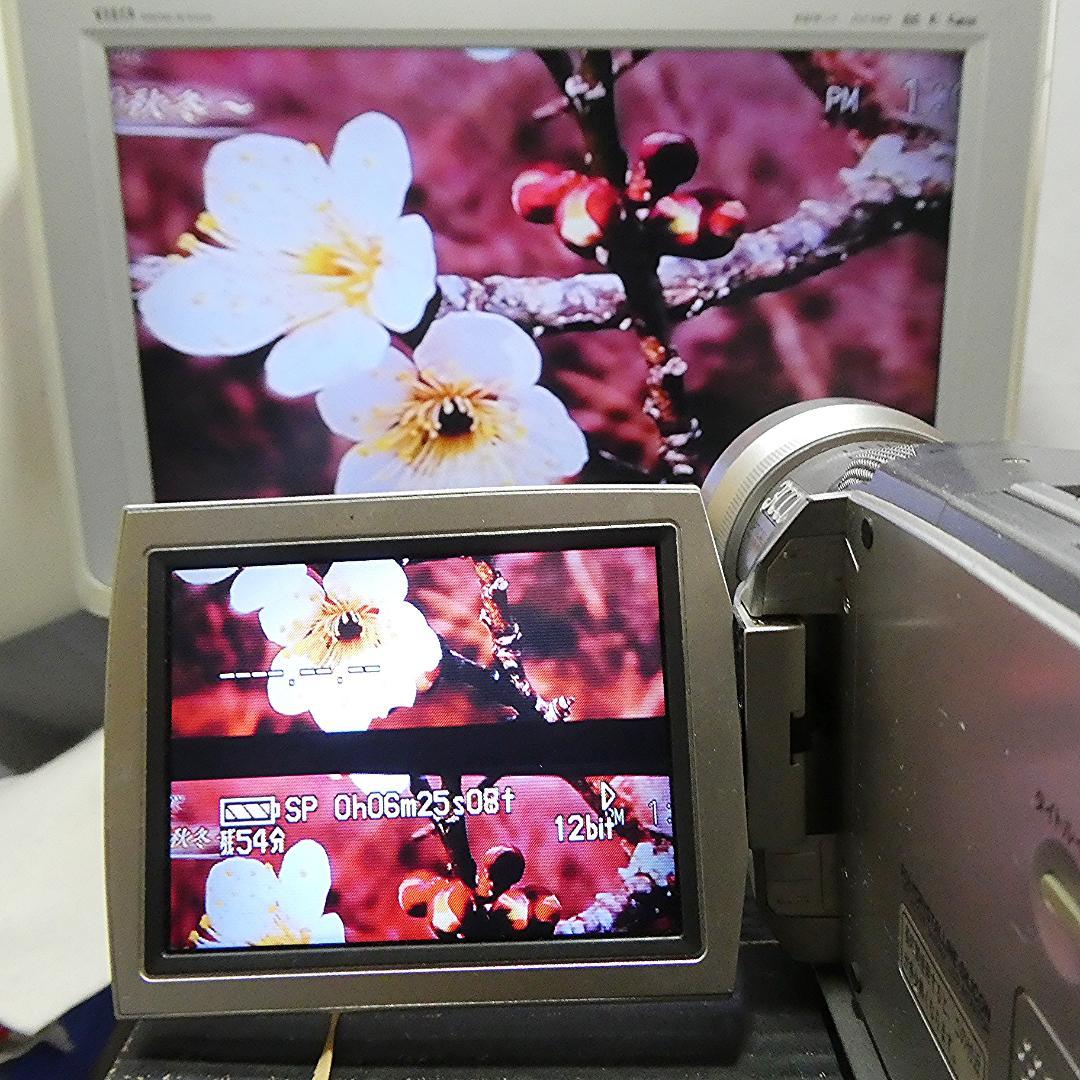 動作良好 パナソニックNV-MX2000 MiniDVビデオカメラDVD化に最適