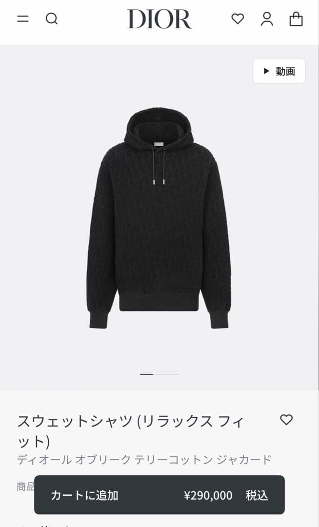 日本正規品　ディオール　パーカー　オブリーク　黒　M
