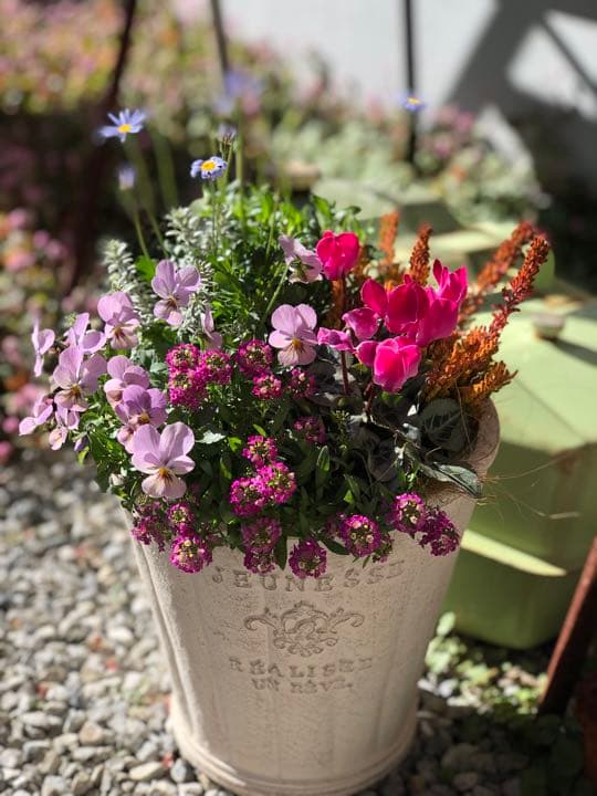 季節のお花寄せ植え  グラスファイバー