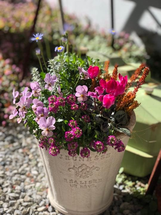 季節のお花寄せ植え  グラスファイバー