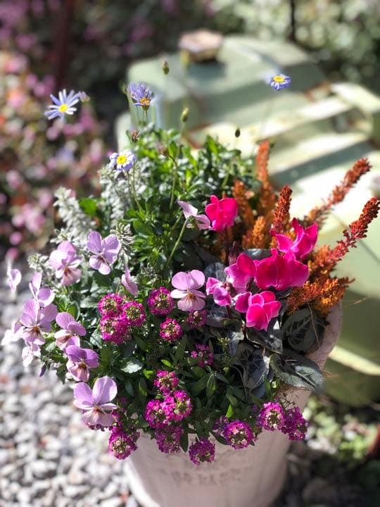 季節のお花寄せ植え  グラスファイバー
