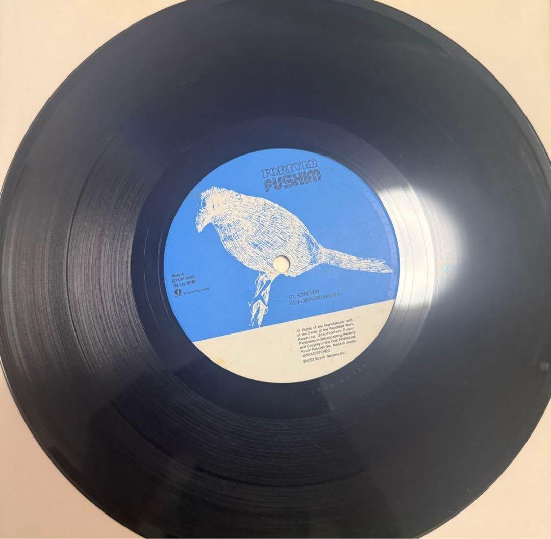 pushim レコード forever 10inch ジャパレゲ レゲエ