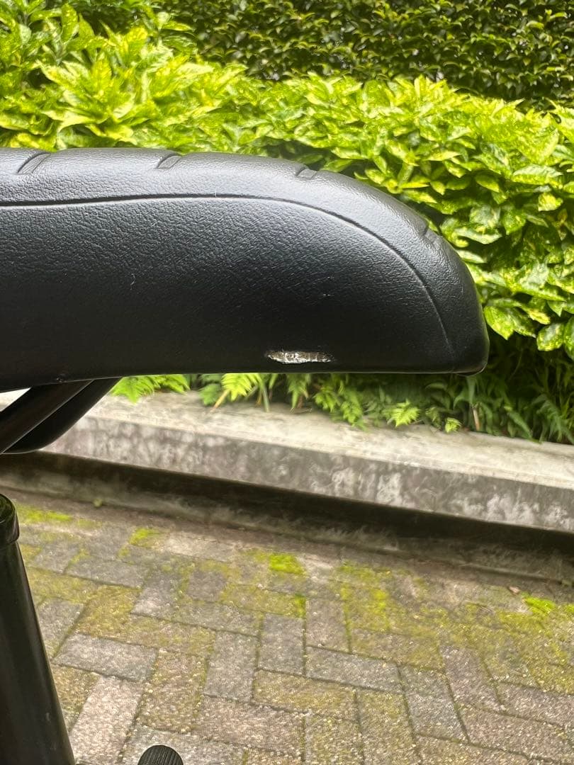自転車本体 Panasonic ez