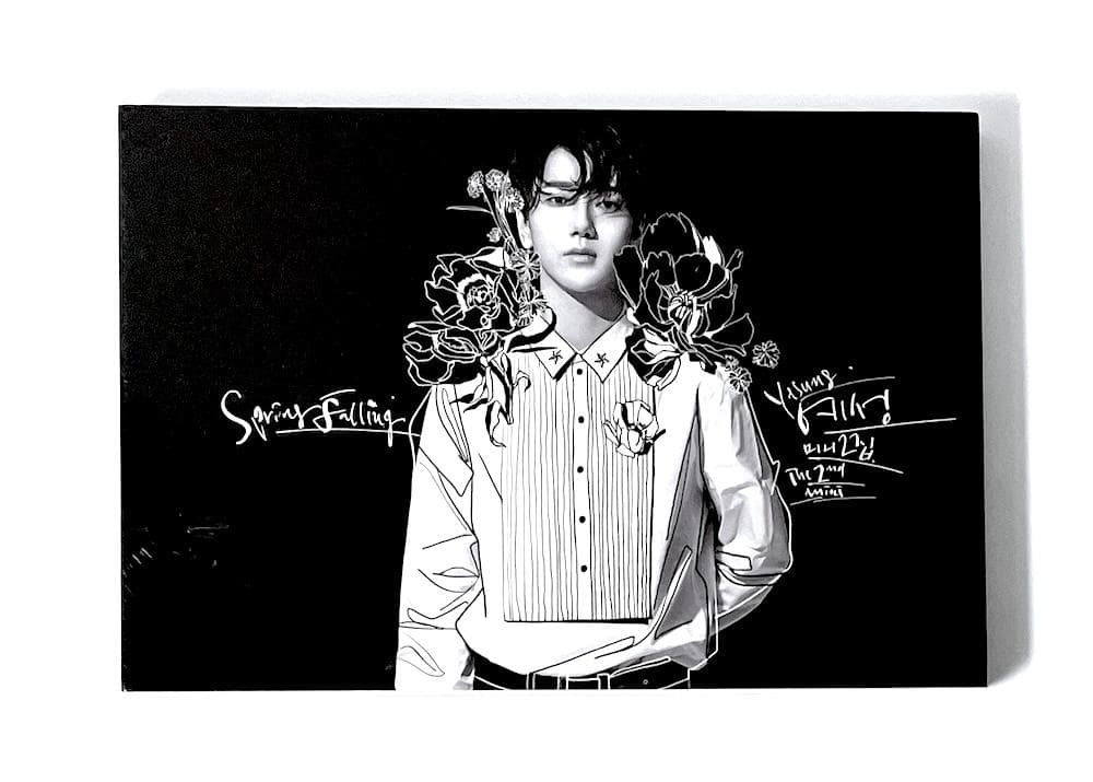 新品未開封 廃盤 YESUNG SPRING FALLING 2ND ALBUM