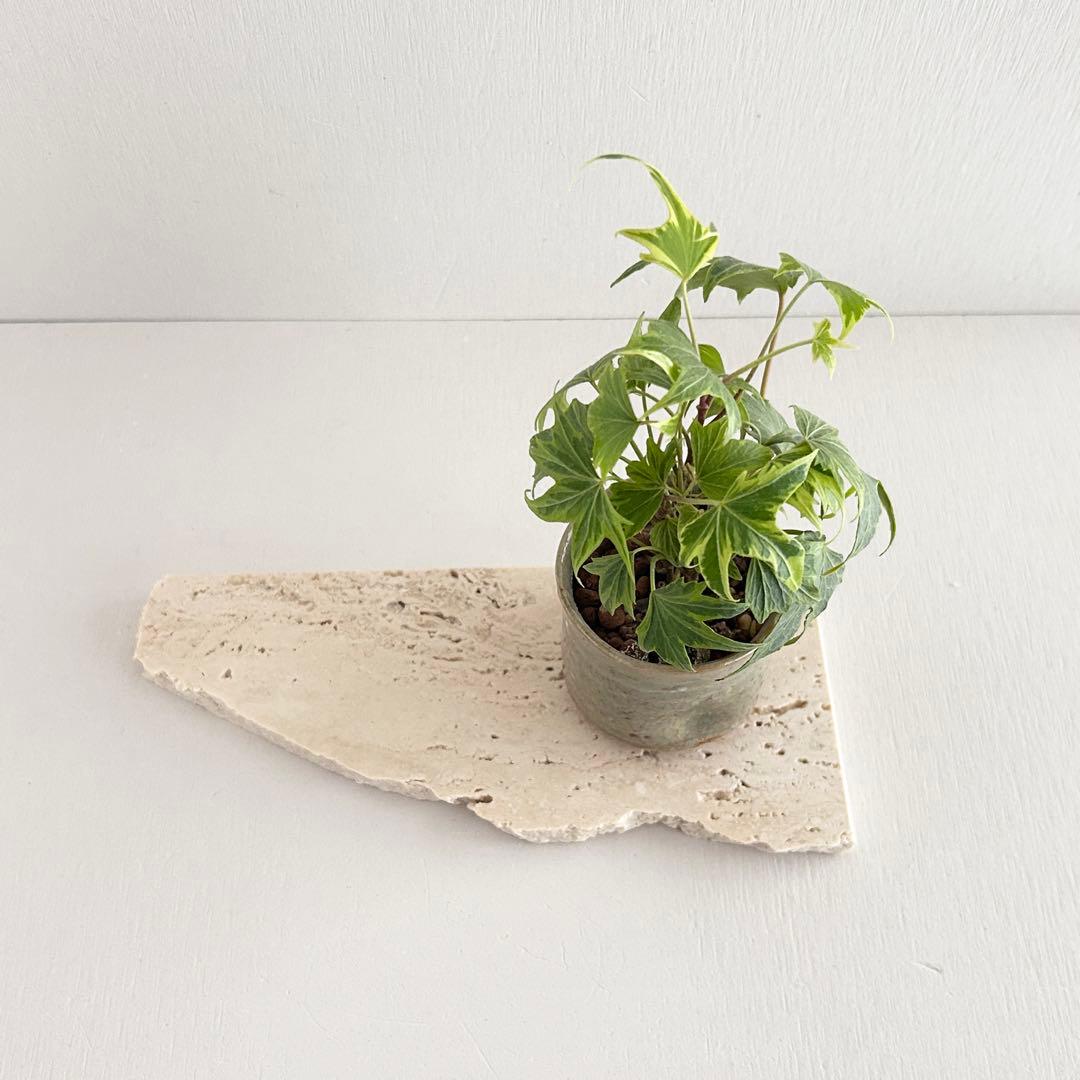 519ロマノトラバーチン（大理石端材プレート）