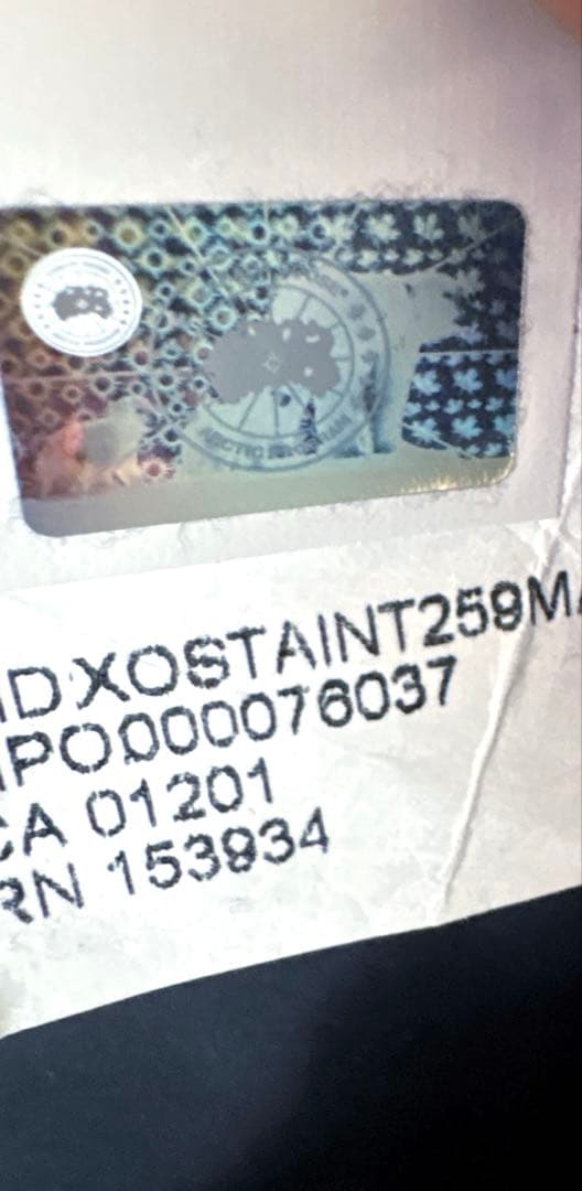 カナダグース　希少Lサイズ　ブラックレーベルミスティークパーカー　ブラック