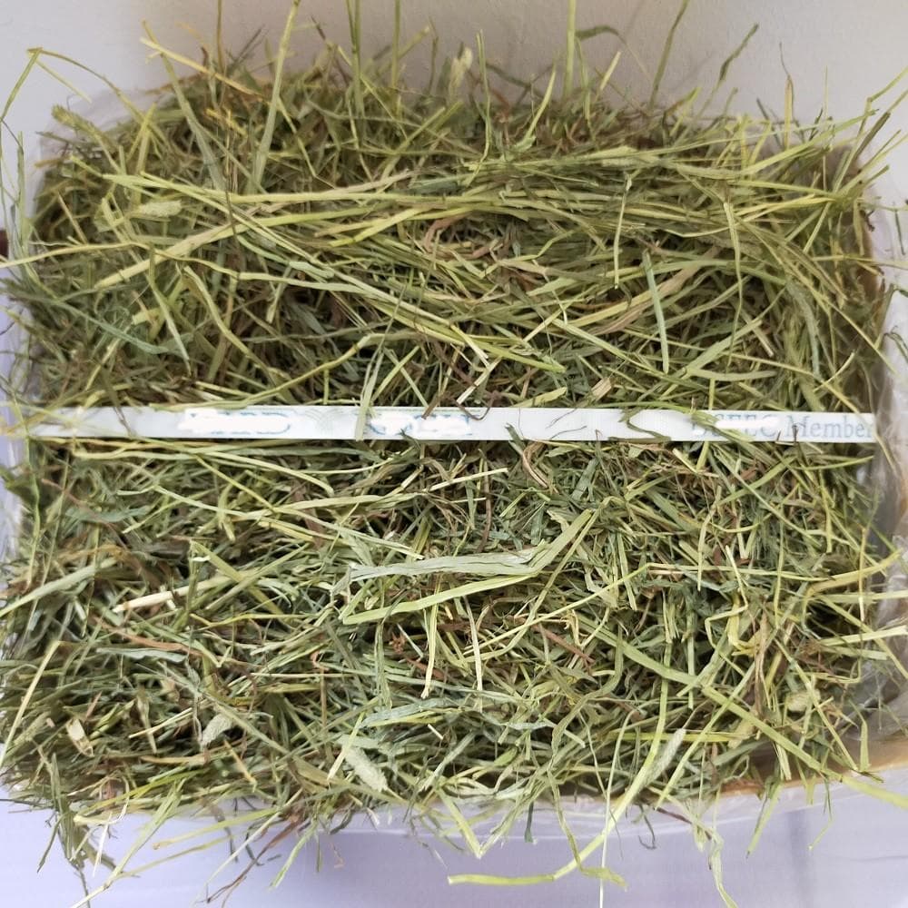 【6/15まで】US産 チモシー 50kg ２番刈 ソフトSプレミアム