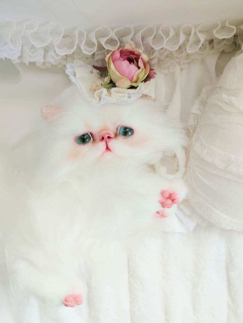 生後3ヶ月♡子猫ちゃん♡綺麗なオメメの美人さん♡アートドール♡ぬいぐるみ♡
