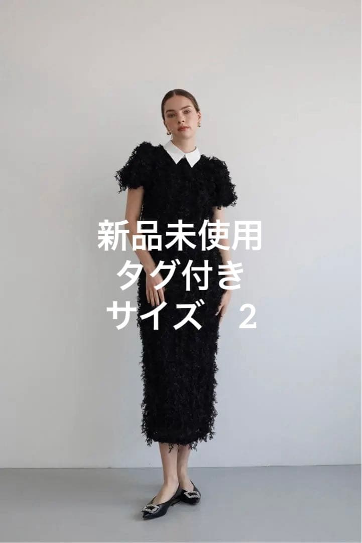 【新品未使用タグ付】Acka. lame fringe puff dress