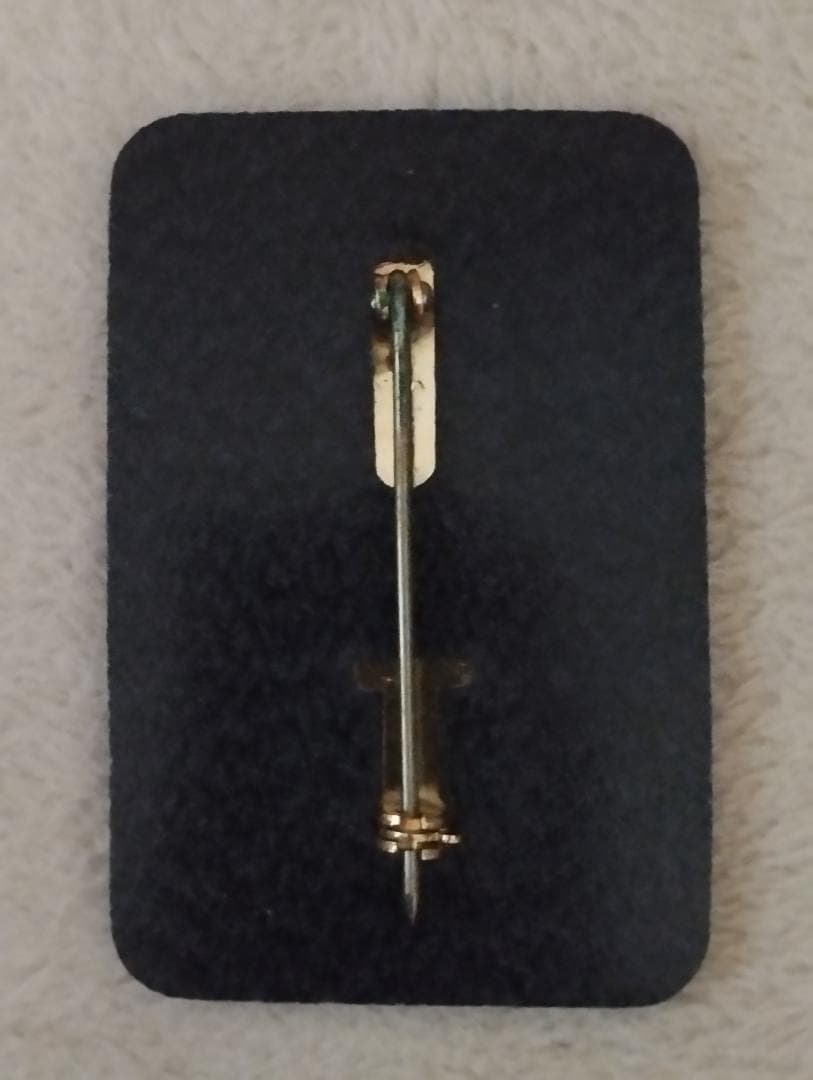 US SECRET SERVICE 身分証 + SWAT ミニチュアベスト