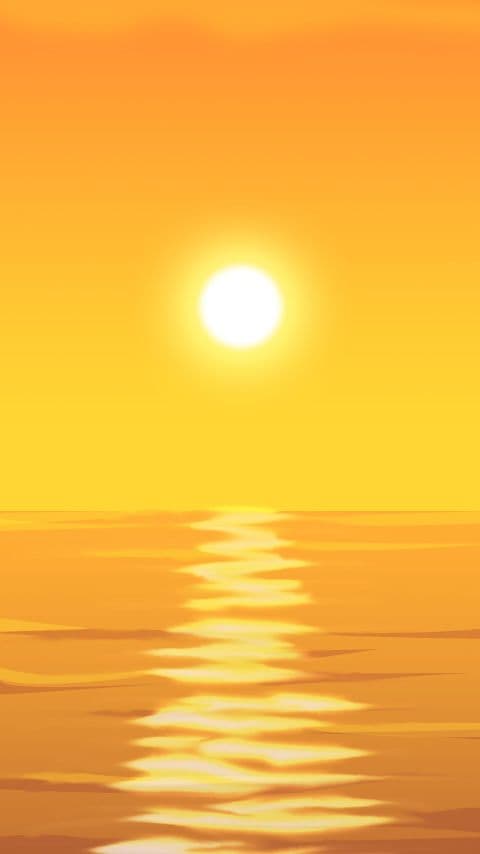 紙