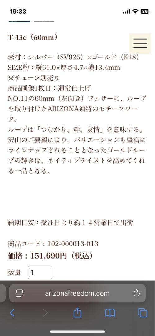アリゾナフリーダム ループ　60mmネックレス