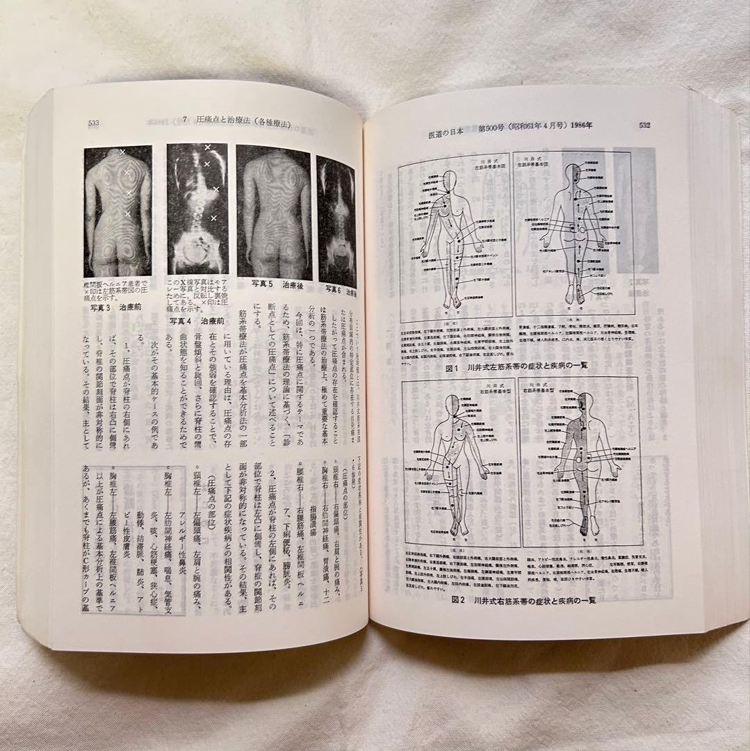 医道の日本 創刊500号・600号記念号セット