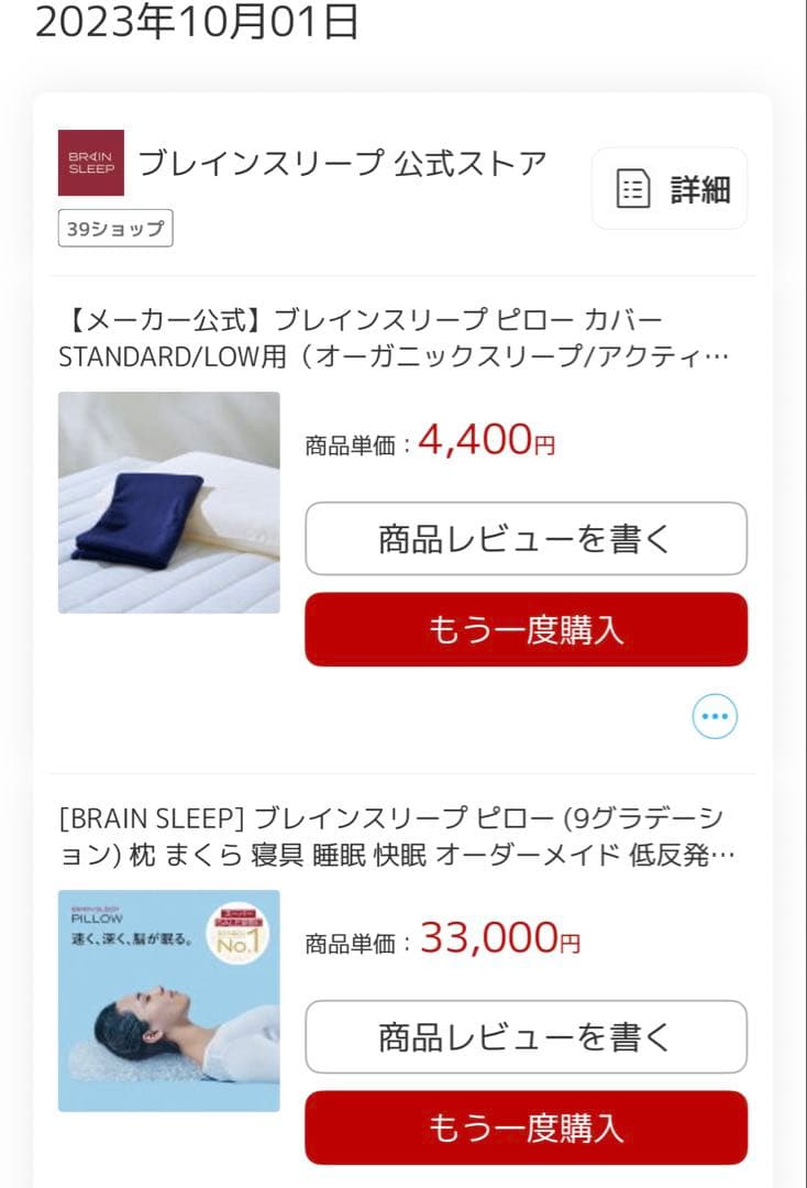 BRAIN SLEEP ブレインスリープ スタンダード　ピロー 枕カバー付き