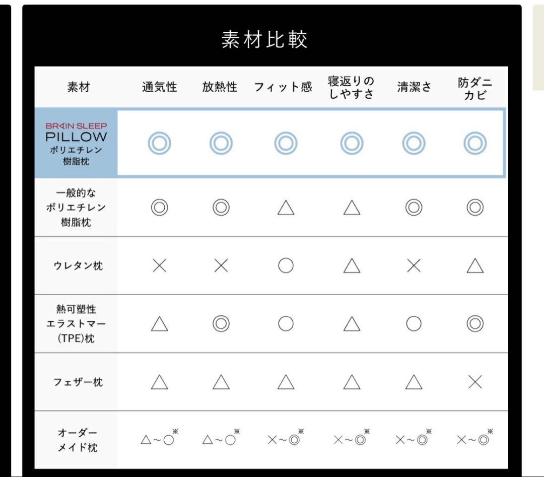 BRAIN SLEEP ブレインスリープ スタンダード　ピロー 枕カバー付き
