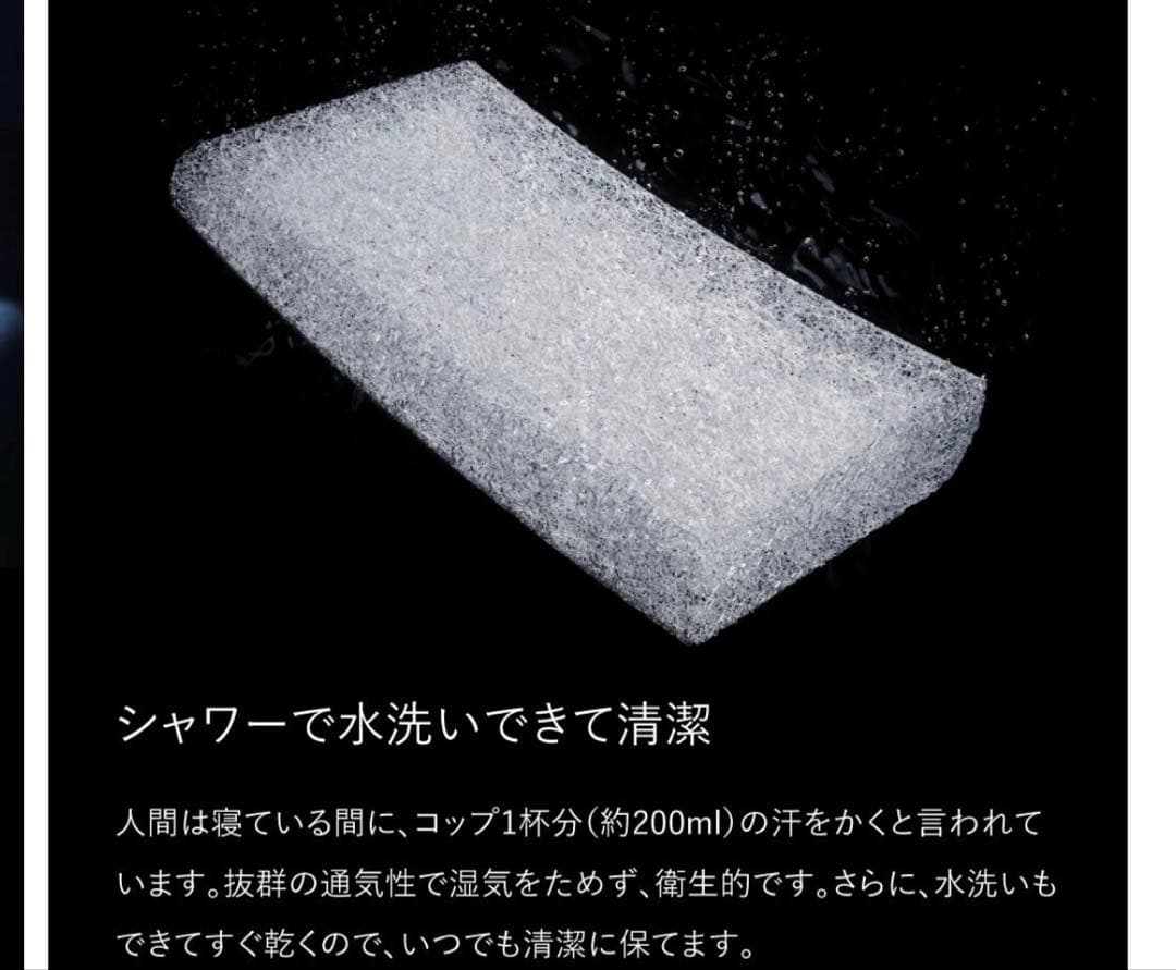 BRAIN SLEEP ブレインスリープ スタンダード　ピロー 枕カバー付き