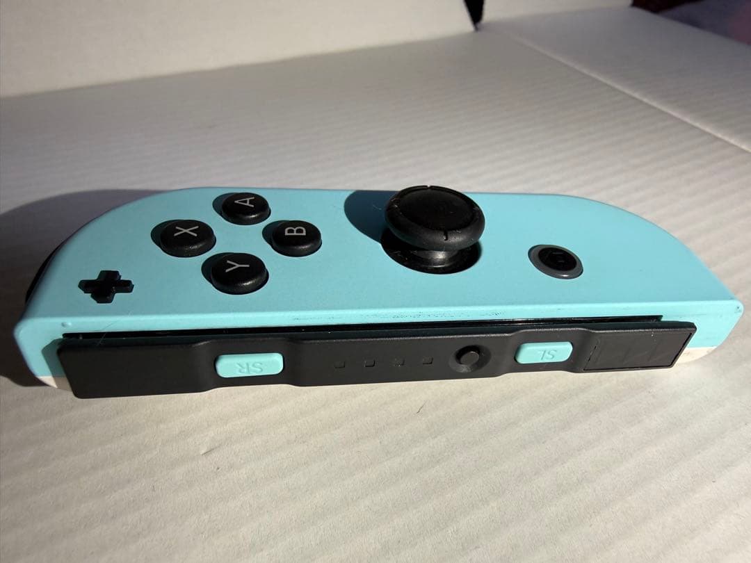 任天堂Switch あつまれどうぶつの森　ver.