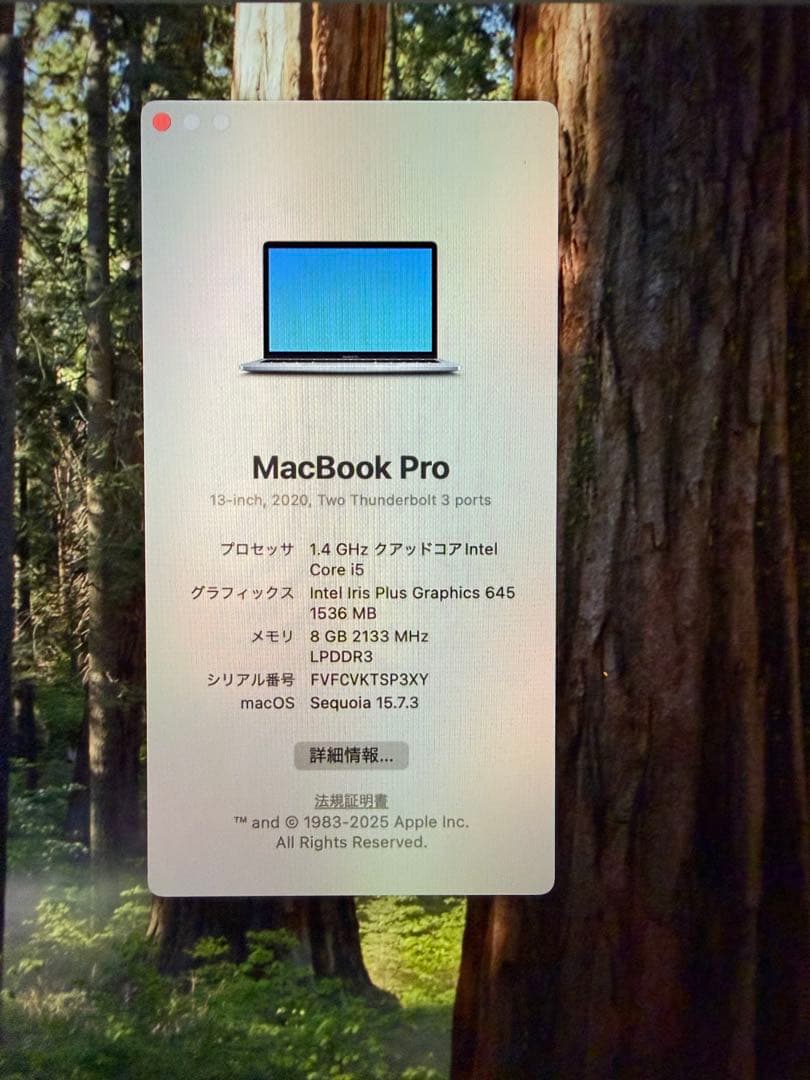MacBook本体 MacBook Pro (2020) 256GB/8GB MXK32J/A