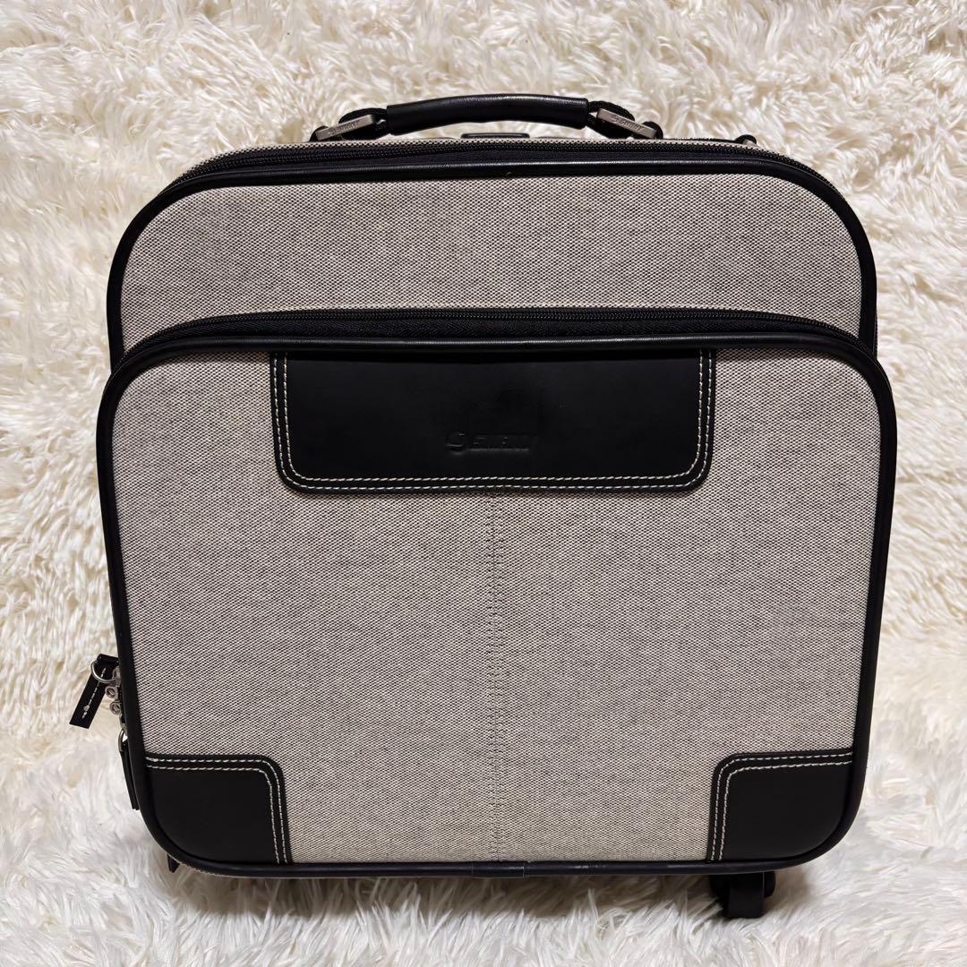 ちびささ【極美品】SWANY キャリーバッグ　キャンバス　機内持込サイズ
