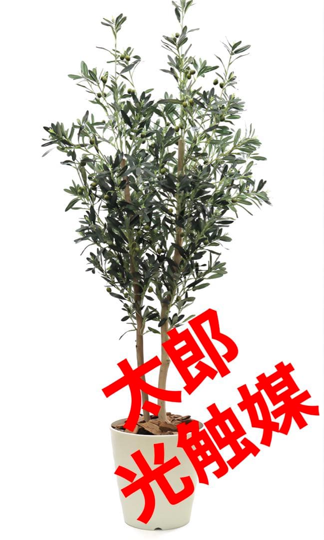光触媒　人工観葉植物　ウォールグリーン　フェイクグリーン　オリーブ160aj