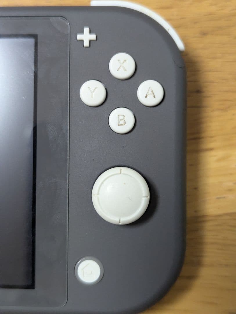 Switch Lite（持ち運び用ケースあり）