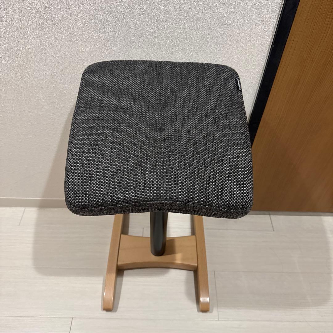 腰痛対策椅子 バランスシナジー　クッションカバー付き　本体グレー