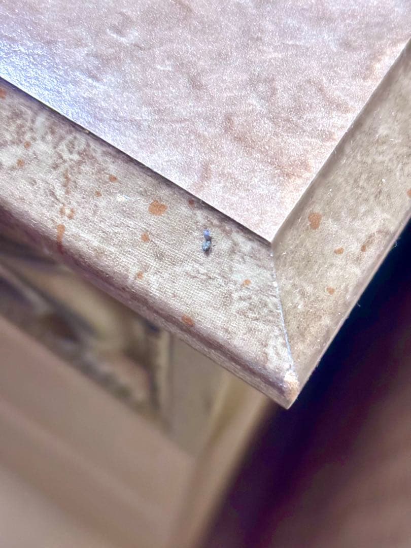 アンティークホワイト チェスト　3段ダブル　６段　木製　ⅱ