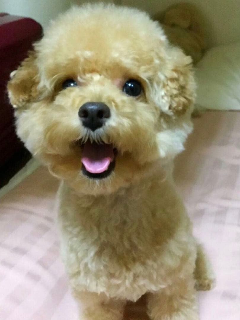 イメージ画像用