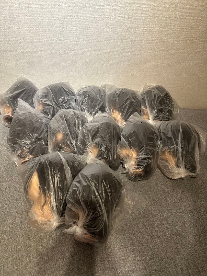 美容師国家試験 実技試験用ウィッグ 24-12-23 12セット