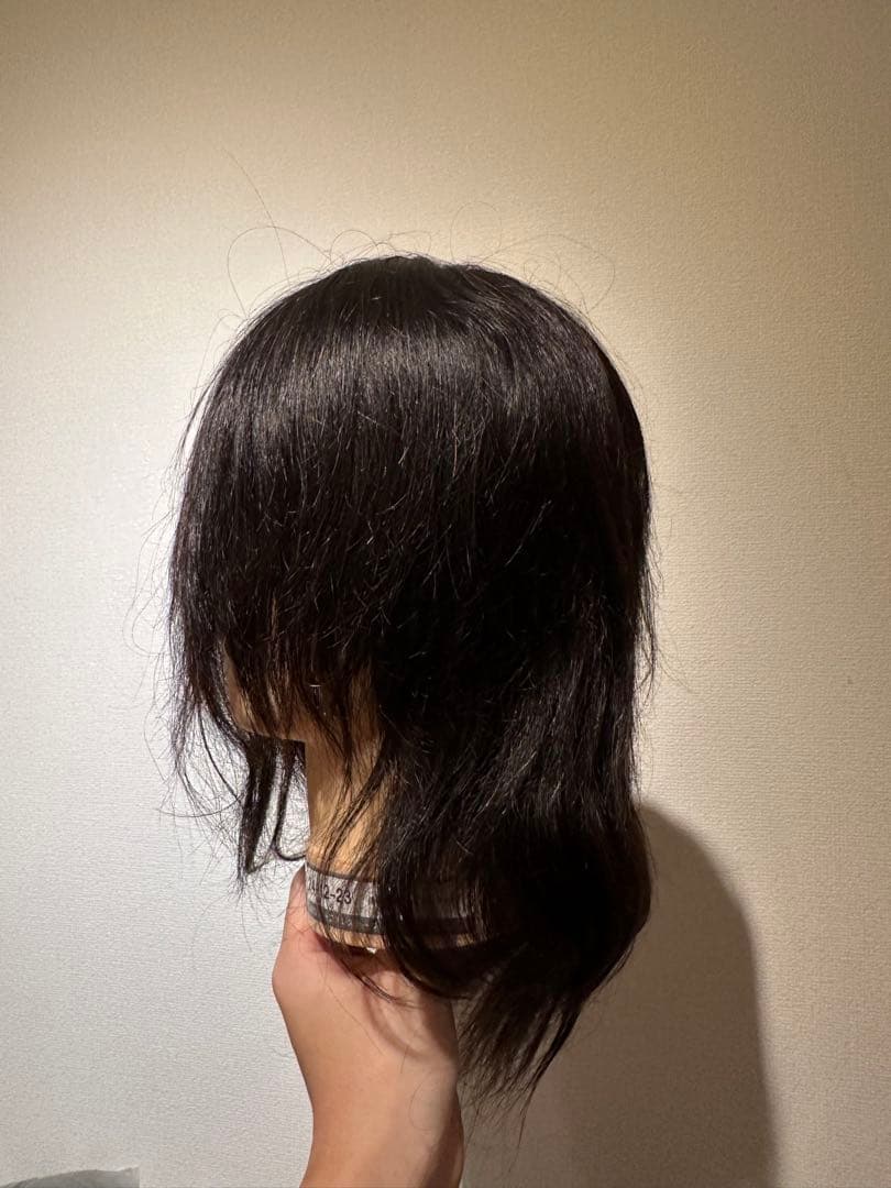 美容師国家試験 実技試験用ウィッグ 24-12-23 12セット