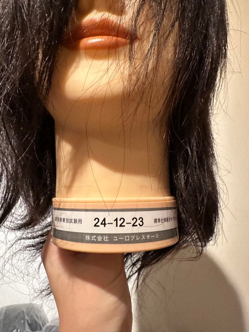 美容師国家試験 実技試験用ウィッグ 24-12-23 12セット