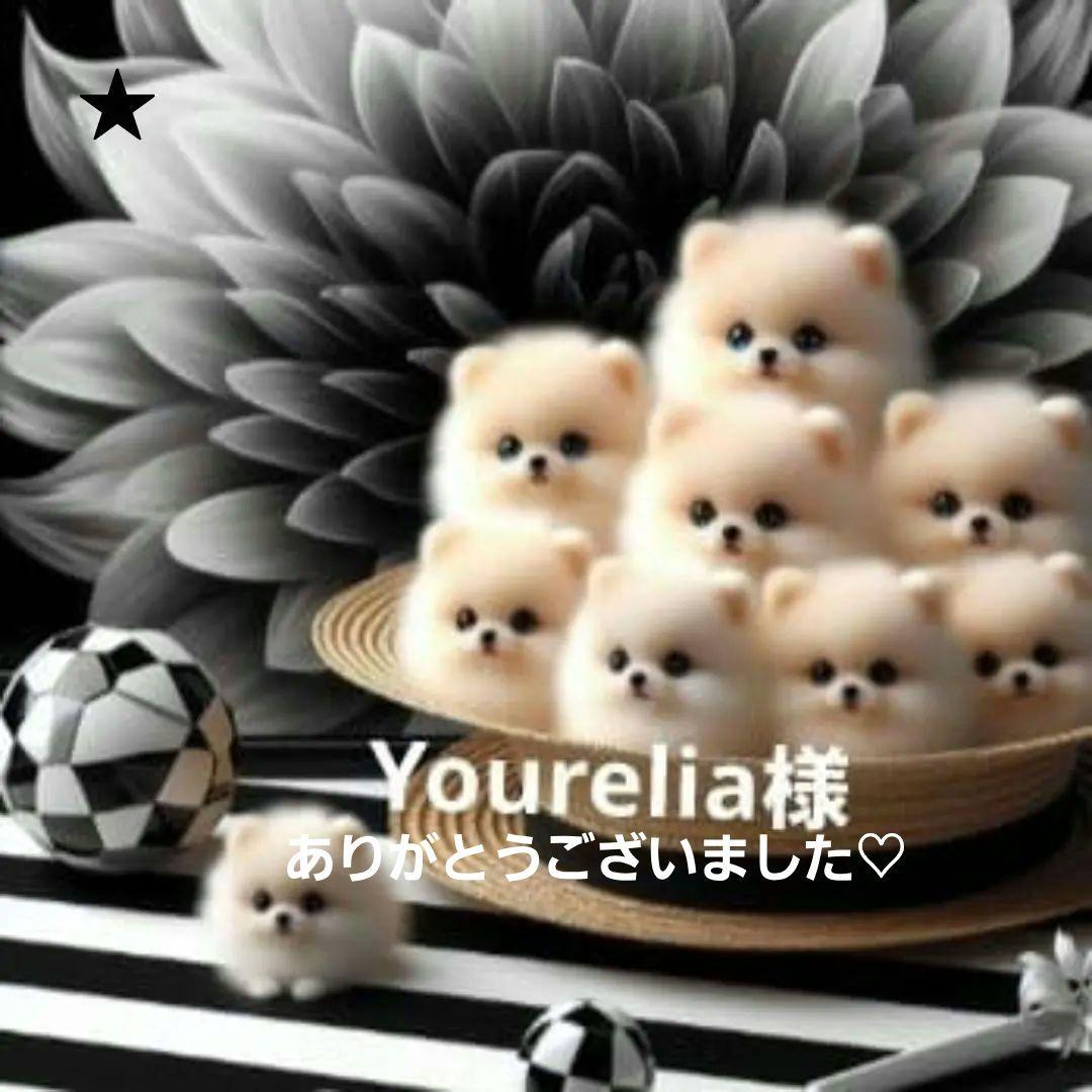 Yourelia様確認用　生地合わせ