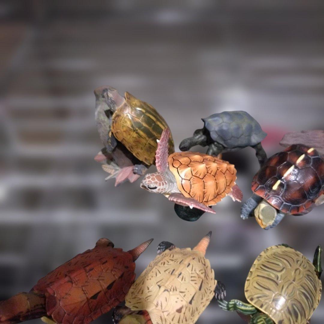 カメフィギュアオオアタマガメワニガメカミツキガメアカミミガメリュウキュウヤマガメ