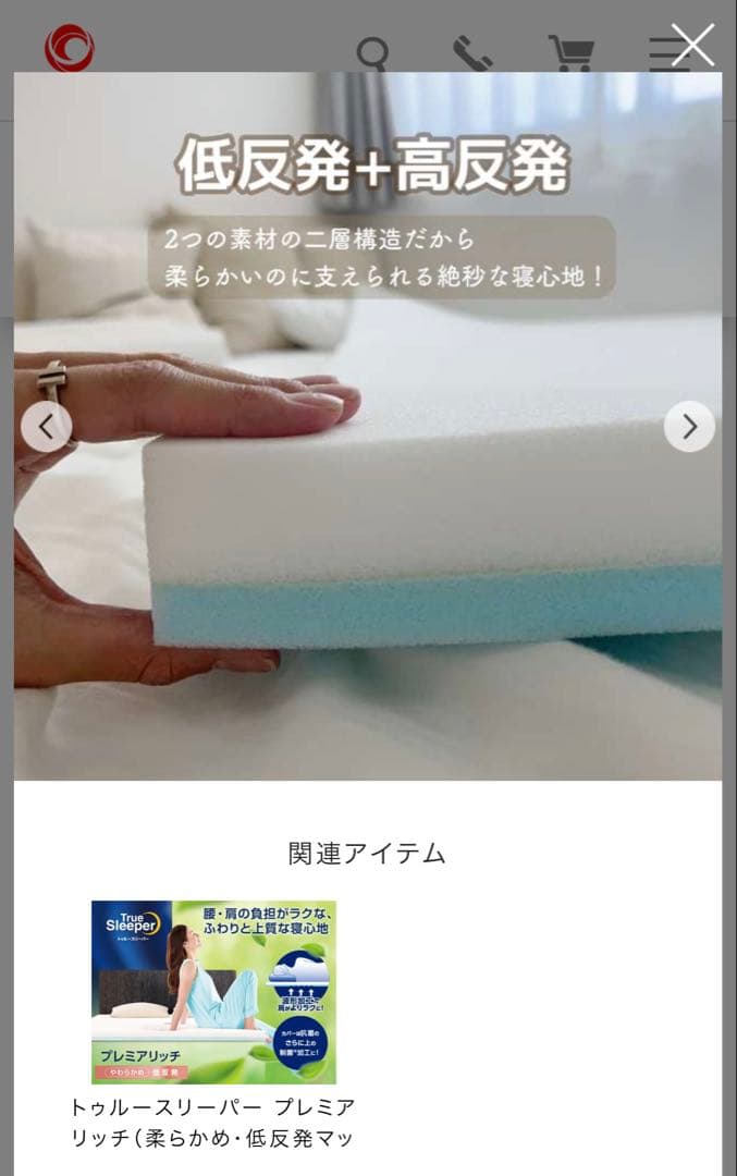 トゥルースリーパー プレミアリッチpr.2 洗えるプラス　クイーン