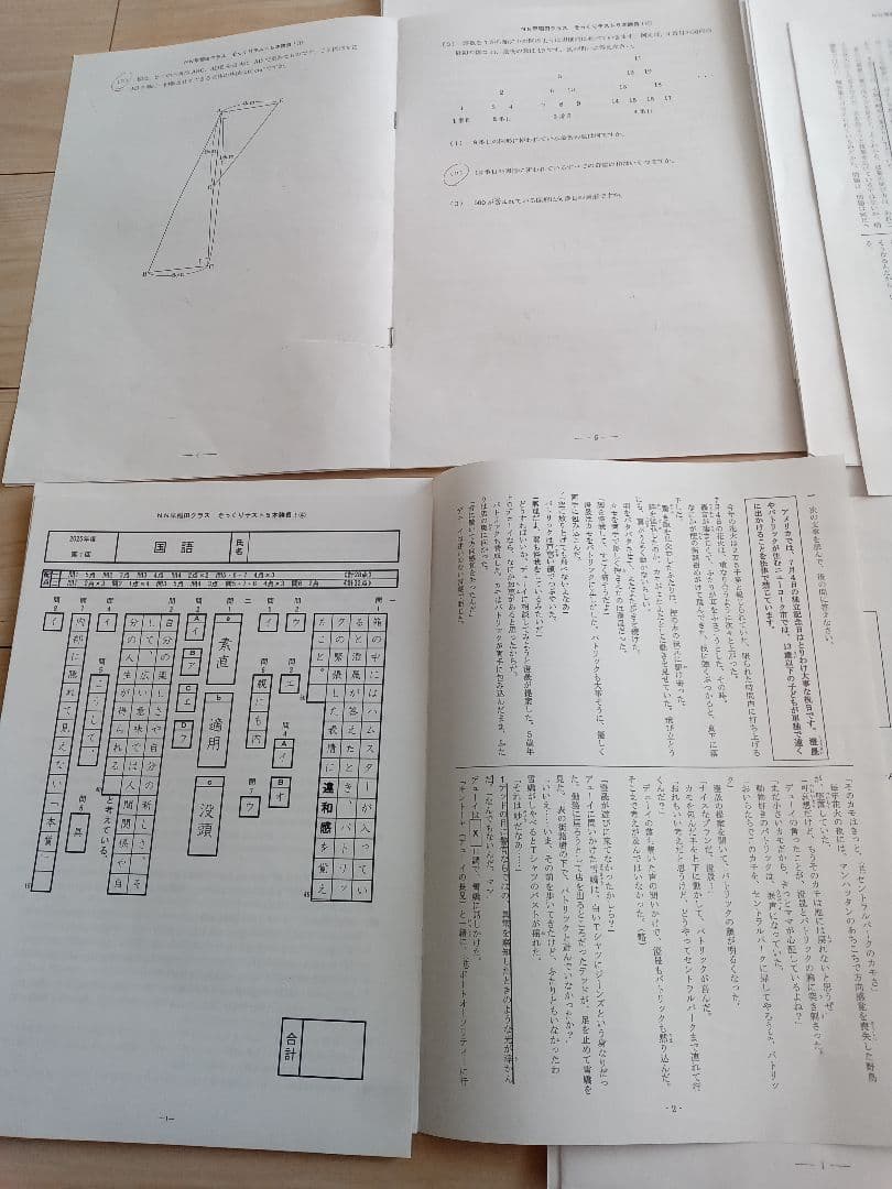 2025入試★早稲田アカデミーNN早稲田　そっくりテスト5本勝負